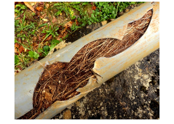 London drain servey experts